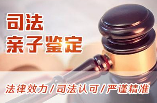 西藏区司法亲子鉴定到哪里,西藏区司法DNA鉴定流程是什么